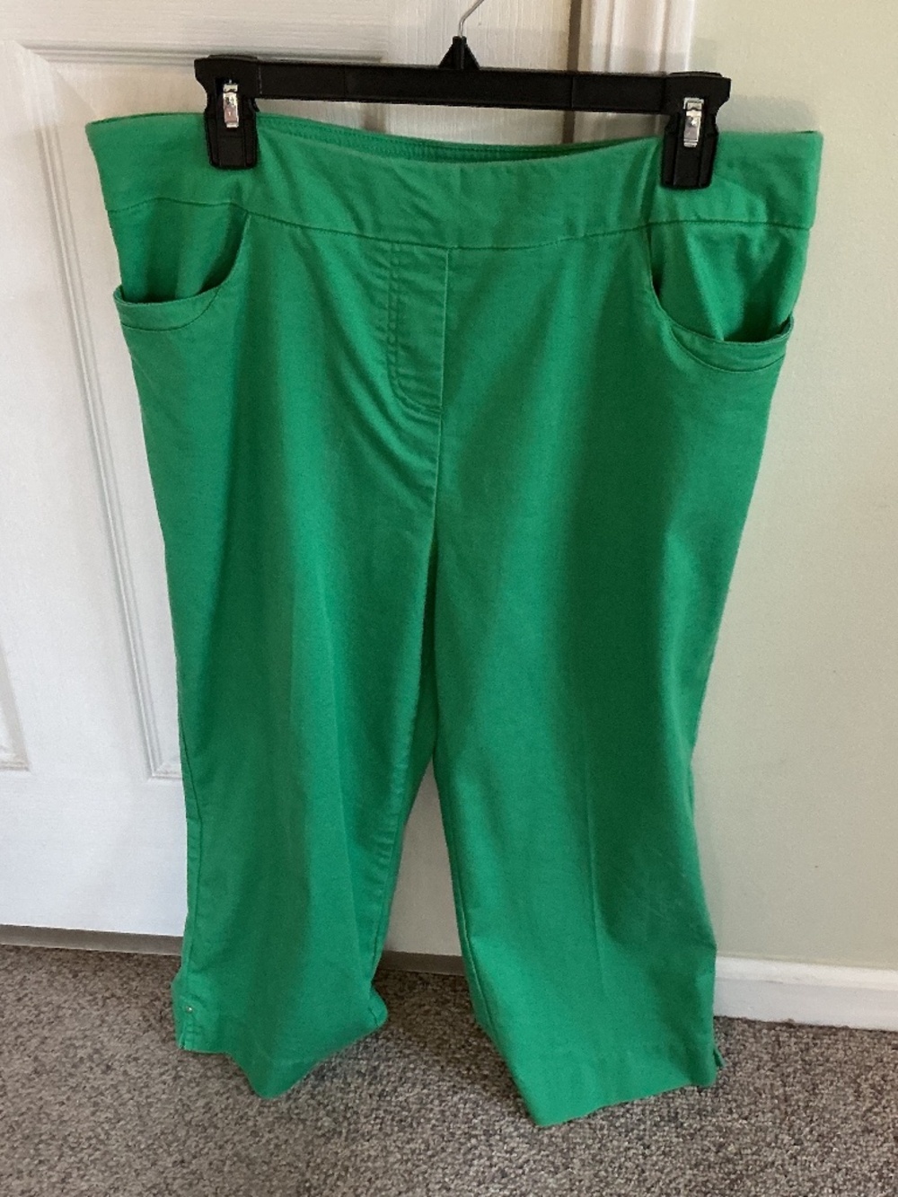 Alfred dunner green capris